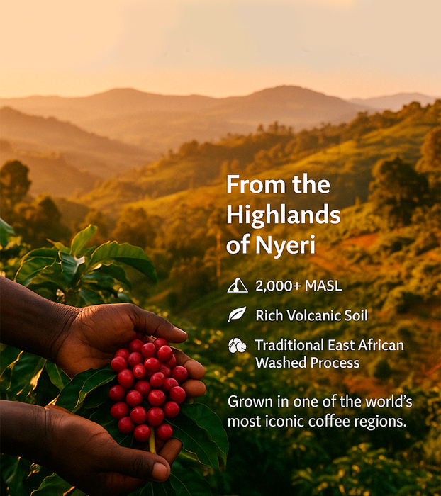Kenya AA